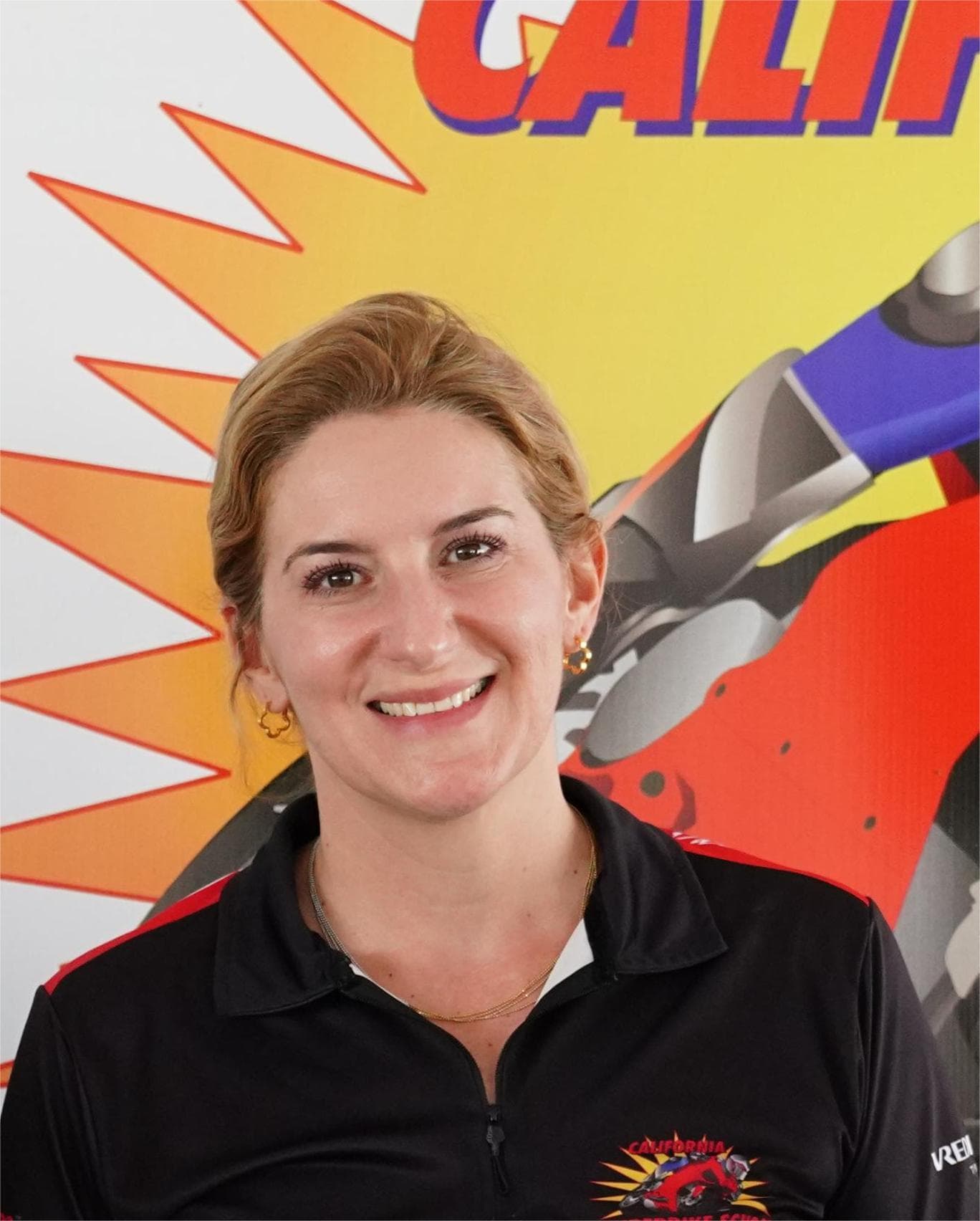 Lara — course controller